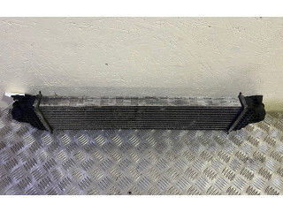 Интеркулер E1G36K775JA Ford Galaxy