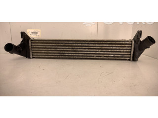 Интеркулер 8200409045 Dacia Logan I