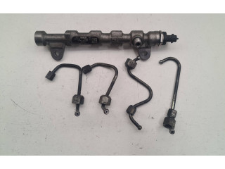 Топливная рампа 55234039, 324089 Fiat Freemont для двигателя 939B5000