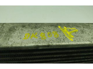 Интеркулер A2515000000, 2515000000 Mercedes-Benz R W251