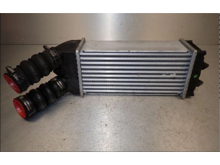 Интеркулер 384G5 Citroen Berlingo