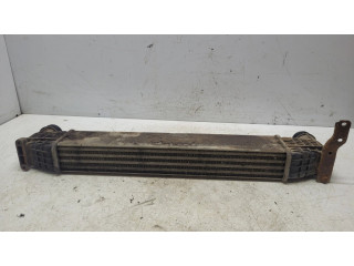 Интеркулер     Ford Galaxy 1.9