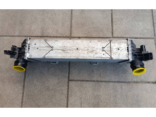 Интеркулер 8578146 BMW X3 G01