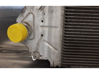 Интеркулер 131302020181 Renault Clio II