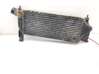 Интеркулер F6926006 Nissan Pathfinder R51