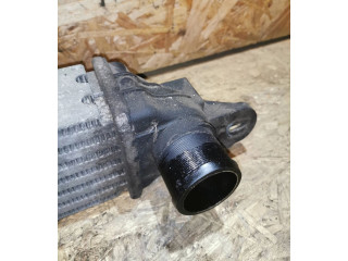 Интеркулер 52429458, 202922 Opel Meriva A