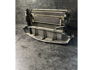 Pojistková skříňka Комплект радиатора a2045003603 Mercedes-Benz C W204 2013