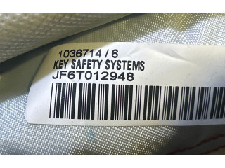 Боковая подушка безопасности 0589P1000686, 1035390 Skoda Fabia Mk3 (NJ)