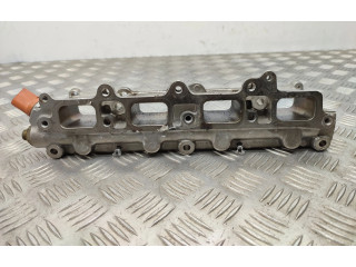 Vstřikovací lišta 3328342, 0261545051 Volkswagen Tiguan Cav