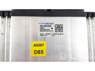 Блок управления двигателя 391312MMG0, CPEGD3201   XPeng G3