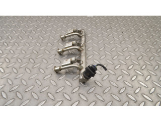 Vstřikovací lišta DM5G9H487AB Ford Fiesta M1JH