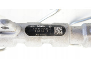 Топливная рампа    Jeep Cherokee  