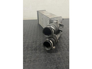 Интеркулер Citroen Berlingo