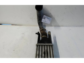 Интеркулер     Fiat Grande Punto 