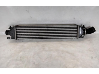 Интеркулер  51783791, 192A8000   Fiat Bravo 