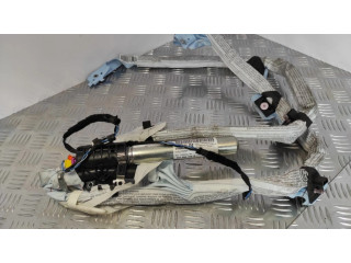 Боковая подушка безопасности 3C0880742B, 30360877   Volkswagen PASSAT B6