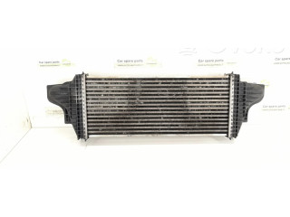 Интеркулер  2515000000, 1645001900   Mercedes-Benz R W251 3.0