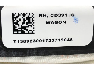 Надувная подушка для крыши DS73-N042D94    Ford Mondeo MK V