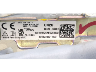 Подушка безопасности двери 80420Q0000   Hyundai Bayon