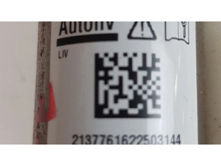 Боковая подушка безопасности 985P09101R, 631314800C   Renault Megane IV