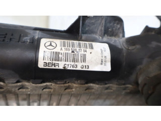 Поршень Радиатор охлаждающей жидкости    Mercedes-Benz B W245  