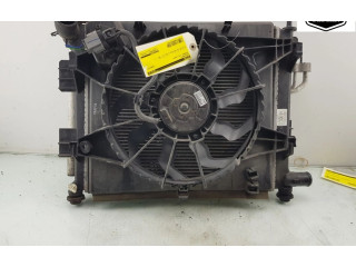 Комплект радиатора     25310B9000, 25310B9000    Hyundai i10 