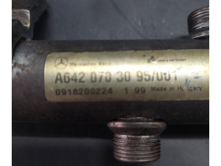 Vstřikovací lišta A6420703095, 0918200224 Mercedes-Benz E W212 642850