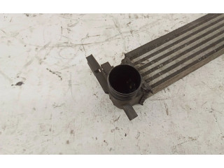 Интеркулер W0225002 Skoda Roomster (5J)