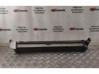 Интеркулер  R4642004, R4642004   Seat Ibiza IV (6J,6P) 