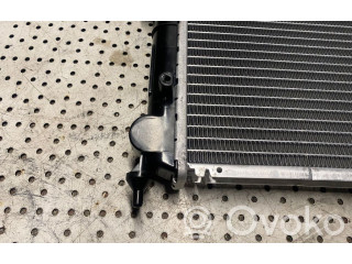 Радиатор охлаждающей жидкости    Ligier X-TOO