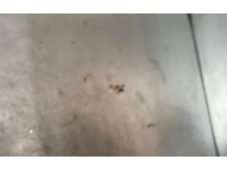 Čerpadlo oleje Opel Astra J