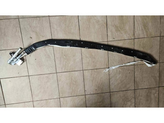 Подушка безопасности двери 67065600, M050540502 Maserati Quattroporte