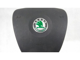 Подушка безопасности водителя 1Z0880201N Skoda Octavia Mk2 (1Z)