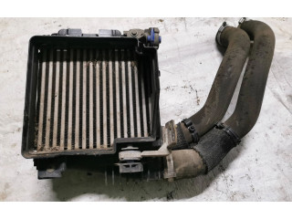 Интеркулер M162476, LA2048 Citroen Berlingo