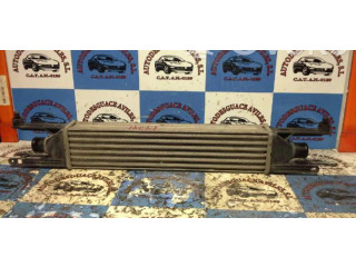 Интеркулер  0055700449   Fiat Punto (199) 