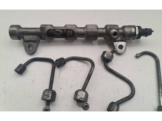 Топливная рампа 55234039, 324089 Fiat Freemont для двигателя 939B5000