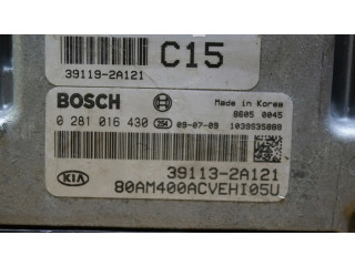 Řídící jednotka 391132A121 KIA Soul 2011