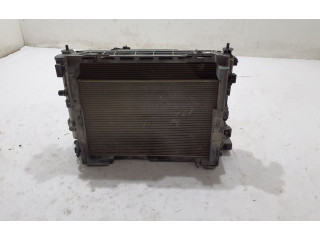 Комплект радиатора Dacia Jogger