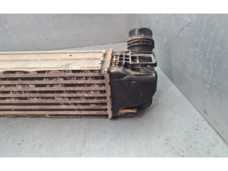 Интеркулер 8200880552, IA2002 Dacia Duster