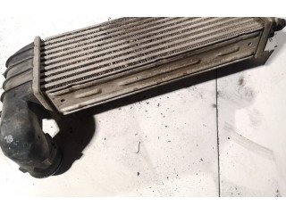 Интеркулер     Citroen C8 