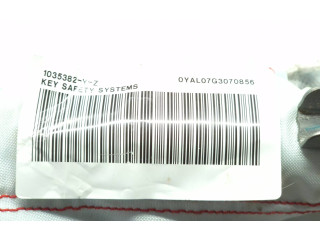 Боковая подушка безопасности 1035382Y, 0YAL07G3070856 Skoda Fabia Mk3 (NJ)