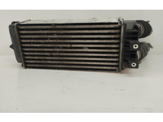 Интеркулер 9800291280 Citroen C4 I