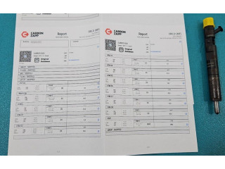 Форсунка EJBR05102D, IMPRK1413868 Dacia Logan I
