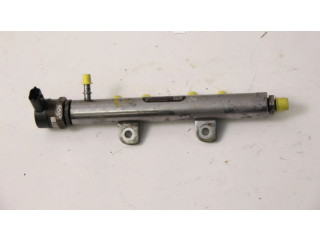 Топливная рампа 1570Q5, 1570Q5 Citroen C5 для двигателя DT20C