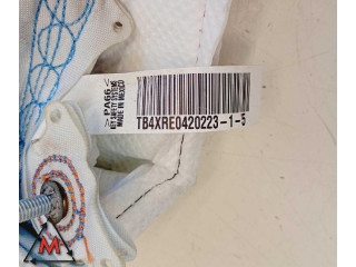 Боковая подушка безопасности 519630590, ARCAUTOMOTIVE   Fiat 500L