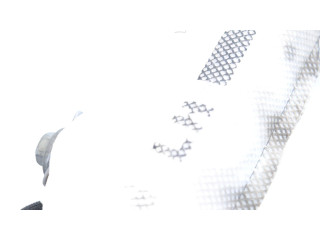 Боковая подушка безопасности 100526100H Tesla Model S