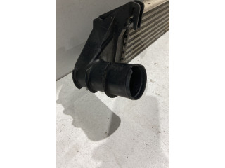 Интеркулер  8200409045, 8200409045   Dacia Sandero 