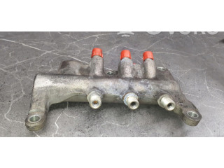 Vstřikovací lišta Renault Vel Satis