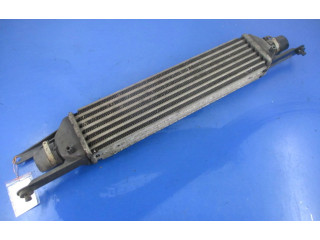 Интеркулер 51785221, 51785221 Fiat Linea