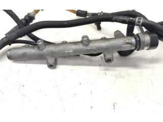 Комплект системы впрыска топлива 059130089H, 8K0919050K Audi A4 Allroad B8 CCW